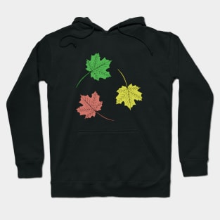 Colored maple leaves. Hoodie